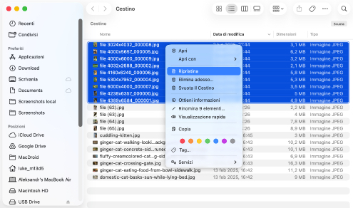 Assicurati di aver effettivamente eliminato i file dal Cestino Assicurati di aver effettivamente eliminato i file dal Cestino