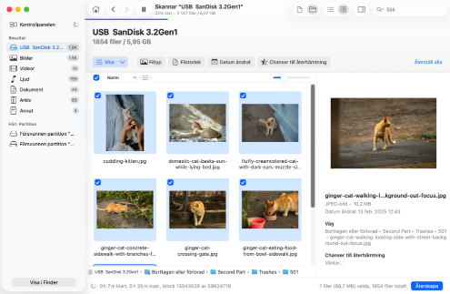 Återställ den raderade papperskorgen på macOS Återställ den raderade papperskorgen på macOS