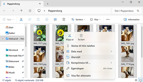 Bästa metoderna för att återställa raderade filer på Windows 11/10/8/7 Bästa metoderna för att återställa raderade filer på Windows 11/10/8/7