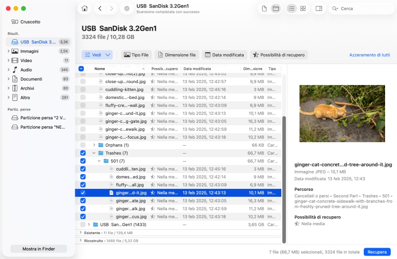 Come recuperare i file eliminati dal Cestino su Mac Come recuperare i file eliminati dal Cestino su Mac