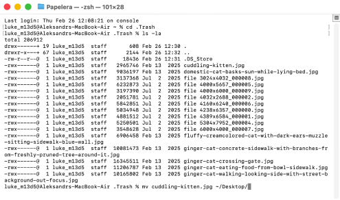Cómo usar la aplicación Terminal para recuperar archivos de la papelera Cómo usar la aplicación Terminal para recuperar archivos de la papelera