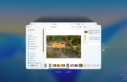 Time Machineバックアップから復元する Time Machineバックアップから復元する