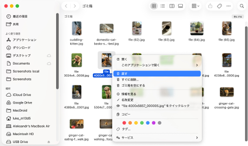 ゴミ箱からファイルを実際に削除したことを確認してください ゴミ箱からファイルを実際に削除したことを確認してください