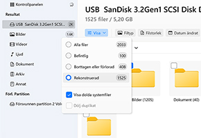 Kontrollera den rekonstruerade sektionen Kontrollera den rekonstruerade sektionen