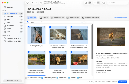 Recupera il Cestino eliminato su macOS Recupera il Cestino eliminato su macOS