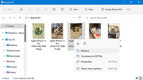 Best Methods to Recover Deleted Files on Windows 11/10/8/7 Best Methods to Recover Deleted Files on Windows 11/10/8/7