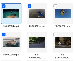 Preview and Recover