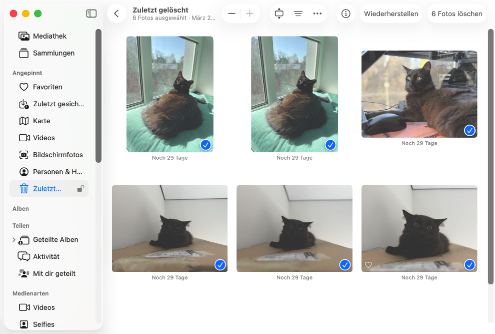 Stellen Sie Ihre Dateien aus einem app-spezifischen Papierkorb-Ordner wieder her Stellen Sie Ihre Dateien aus einem app-spezifischen Papierkorb-Ordner wieder her