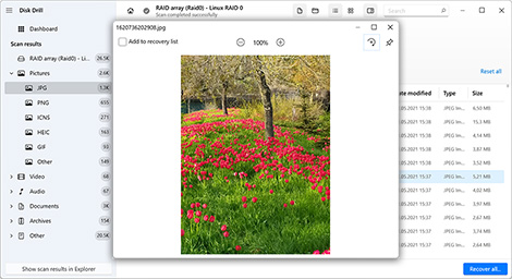 Preview the found files Preview the found files