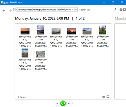 File History