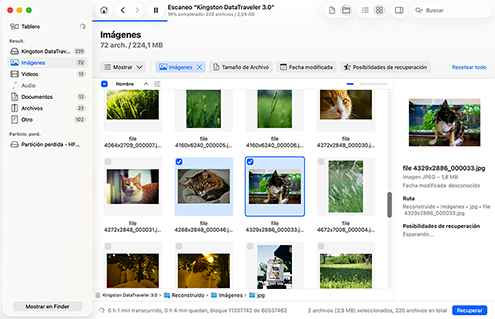 Previsualiza los archivos recuperables Previsualiza los archivos recuperables