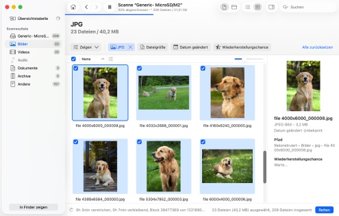 Vorschau und Auswahl der Dateien zur Wiederherstellung