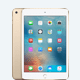 iPad mini