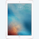 iPad PRO